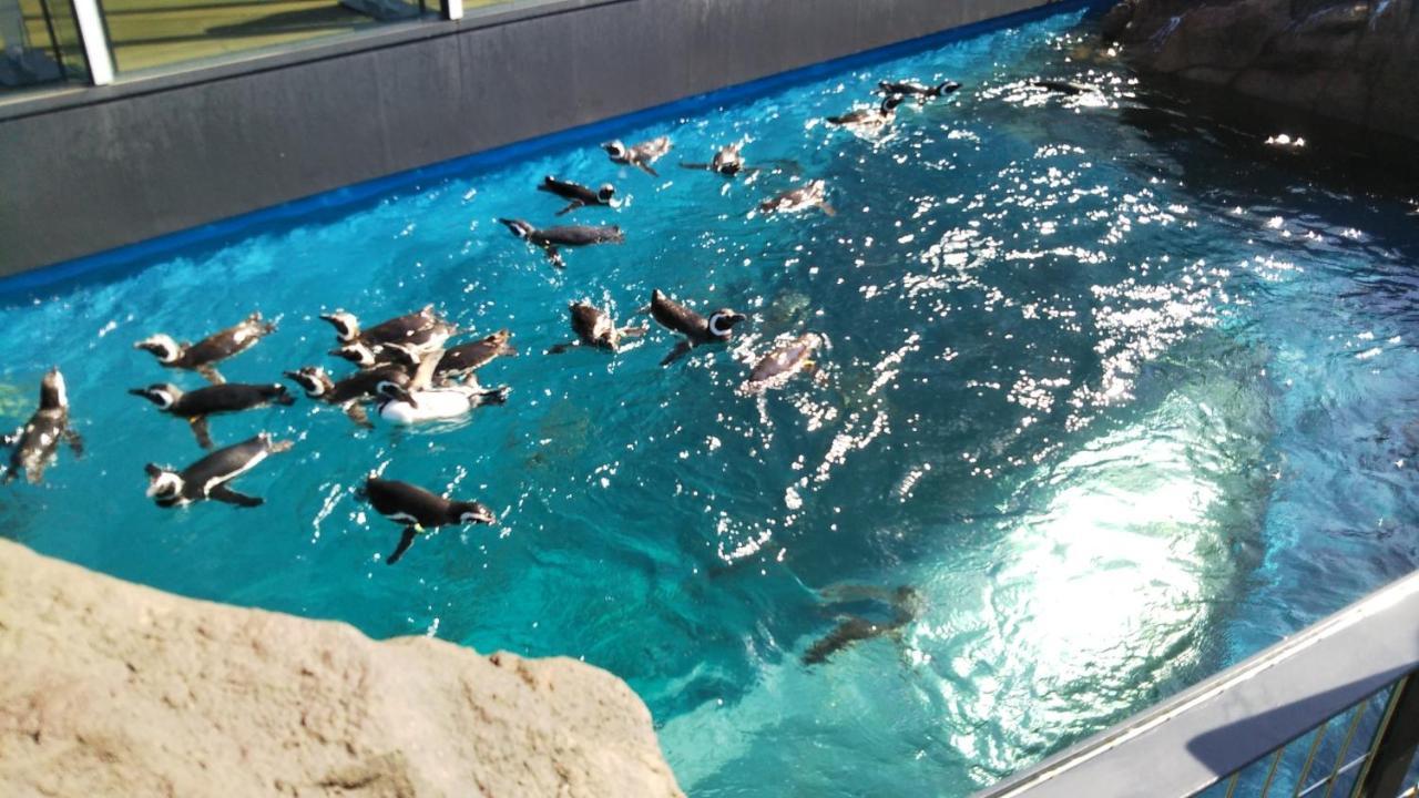Oyo Joetsu City Hotel Kasugayama Eksteriør bilde